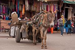 Marrakech - 22