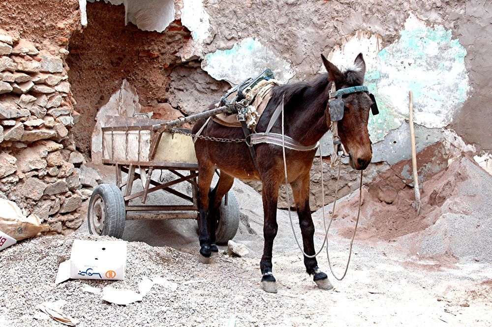 Marrakech . Baustellenfahrzeug