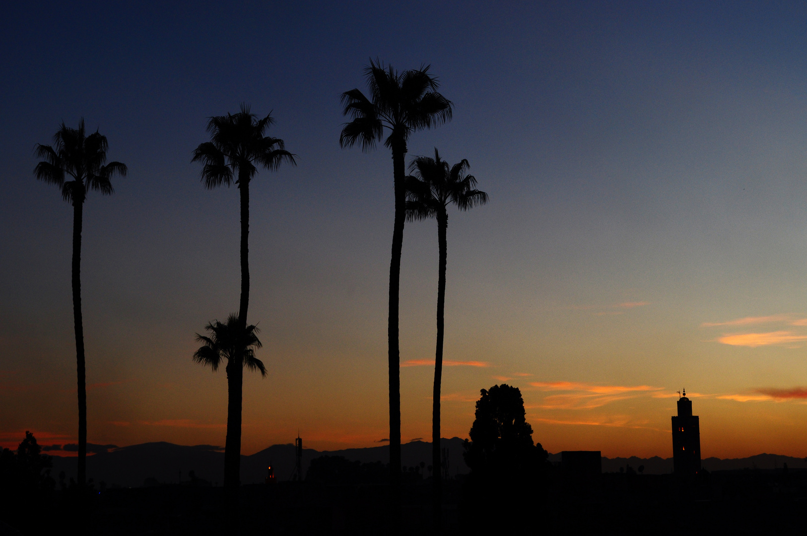 Marrakech by night