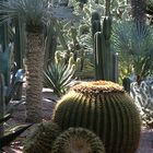 MARRAKECH - JARDIN MAJORELLE - COUSSIN DE BELLE MERE