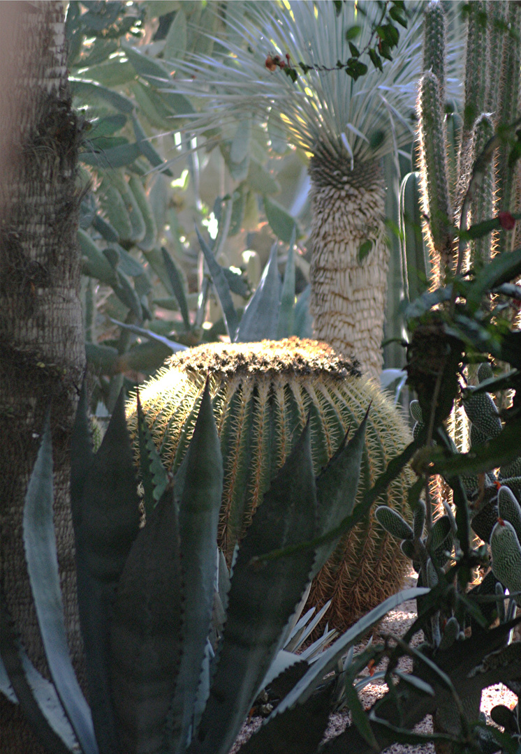 MARRAKECH - JARDIN MAJORELLE - PATCHWORK PICANTE