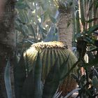 MARRAKECH - JARDIN MAJORELLE - PATCHWORK PICANTE