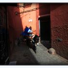 Marrakech- trasporti nella Medina....