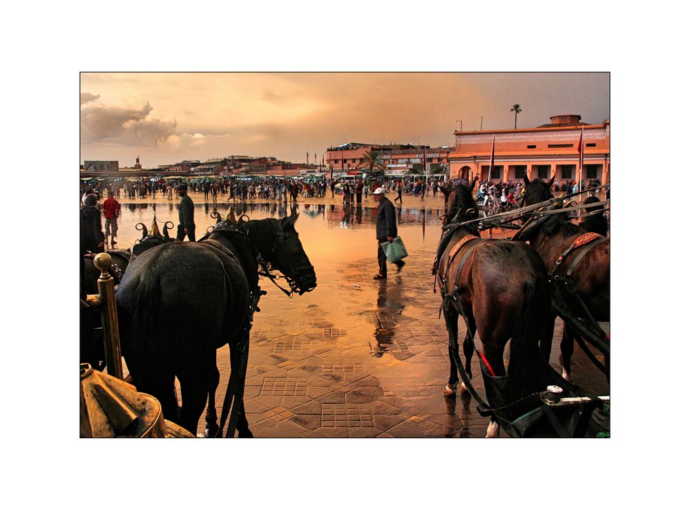 Marrakesch /Djemaa el Fna / Gauklerplatz nach dem Regen