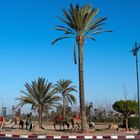 Marrakesch_07