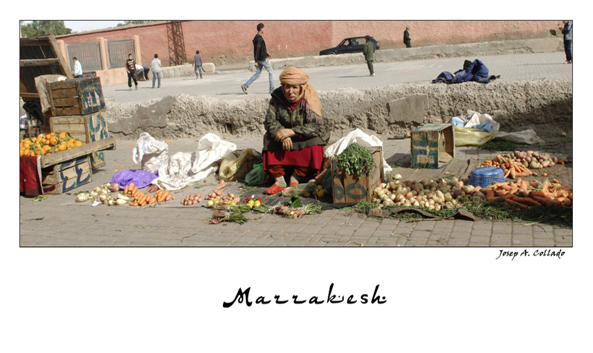 Marrakesh. Impressions of a Journey (XII)