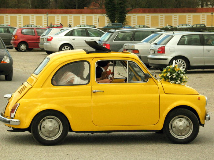 marriage in yellow von Alexander LS