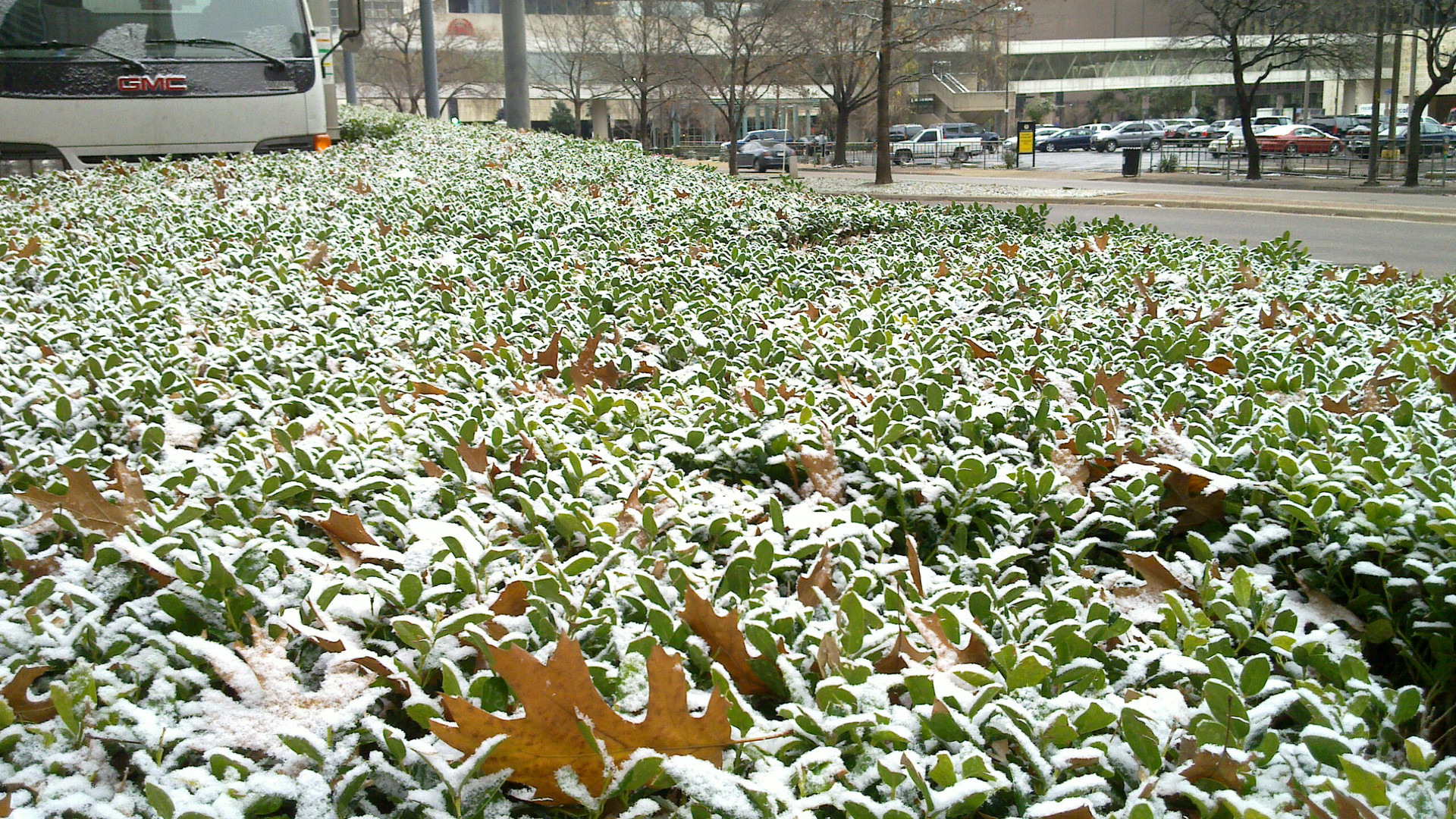 Marriott City Center (Dallas) Outdoors