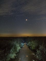 Mars im Federsee