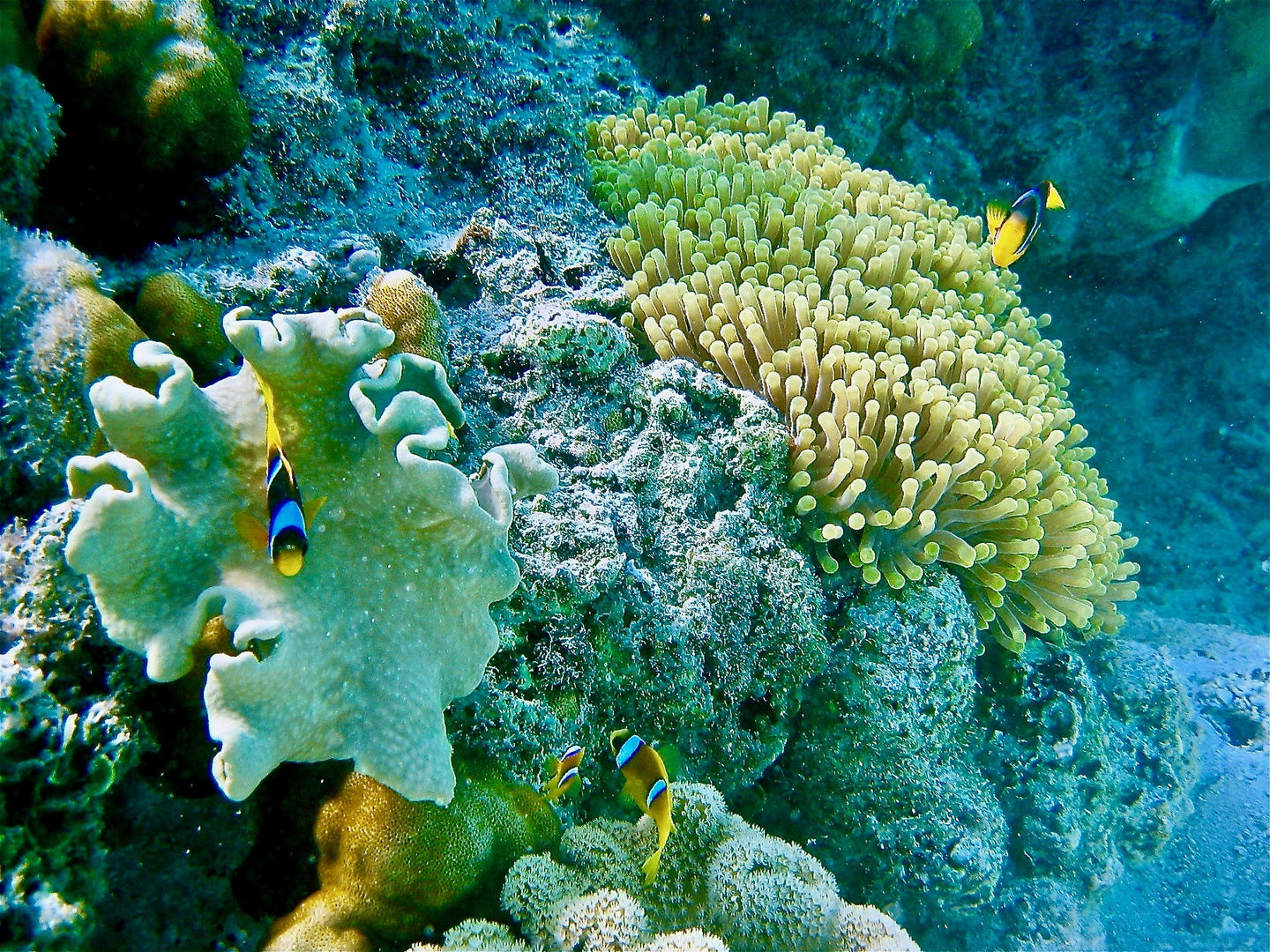 Marsa Alam - 302