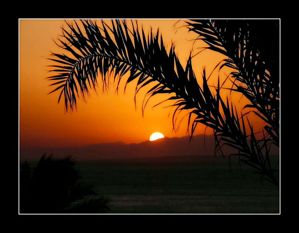 Marsa Alam (Egypt)