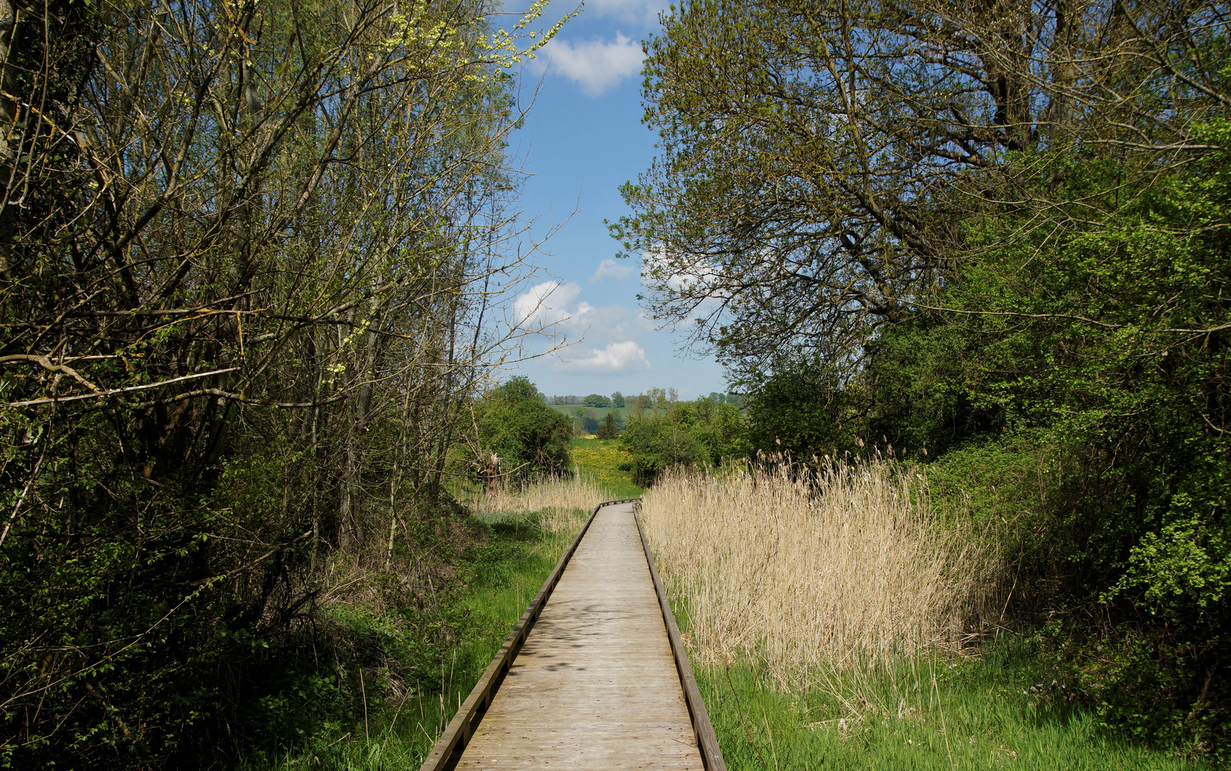 Marsal, Lothringen, Pfad durch das Sumpfland