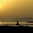 Marsala Saline