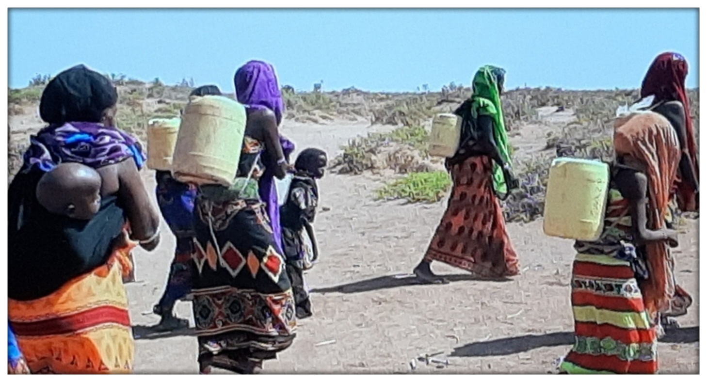 Marsch des Überlebens: Frauen beim täglichen  Wasserholen im Norden Kenyas