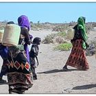 Marsch des Überlebens: Frauen beim täglichen  Wasserholen im Norden Kenyas