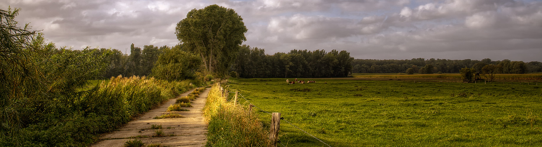 Marsch Panorama