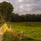 Marsch Panorama