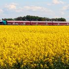 Marschbahn Ersatzverkehr