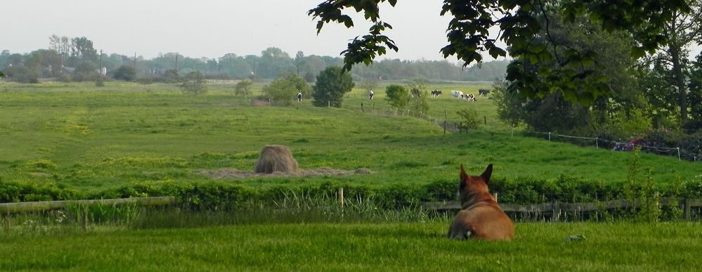 Marschblick