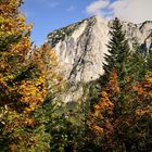 Marschieren durch den herbstlichen Wald