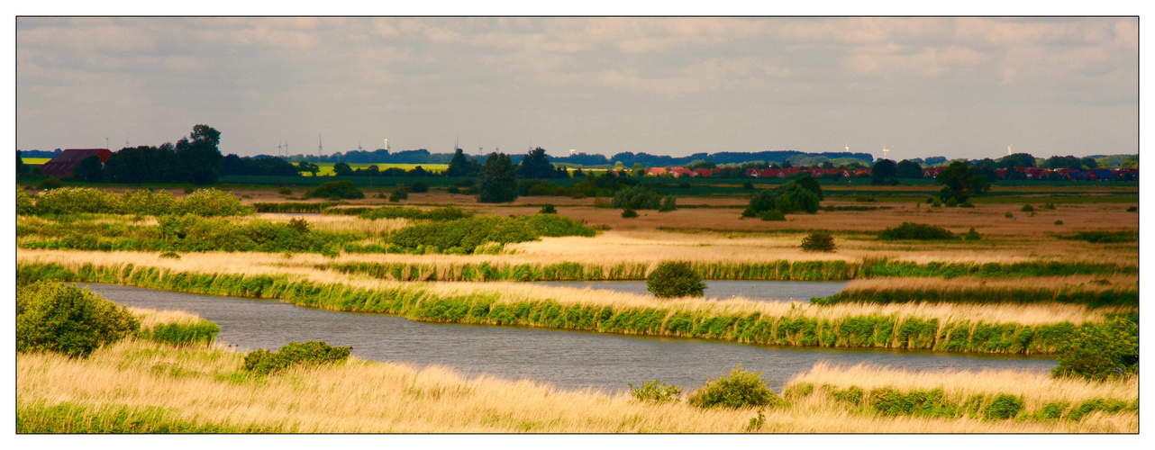 ... Marschland hinter dem Nordseedeich