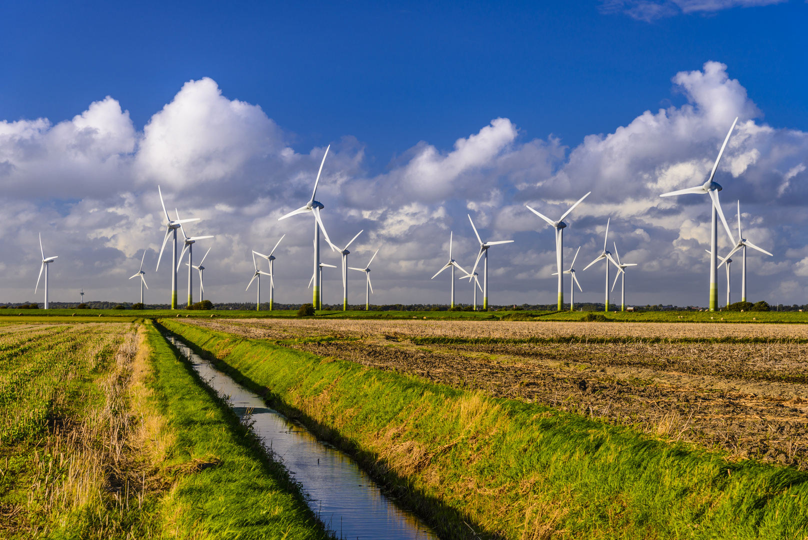 Marschland mit Windkraftanlagen, Nordfriesland