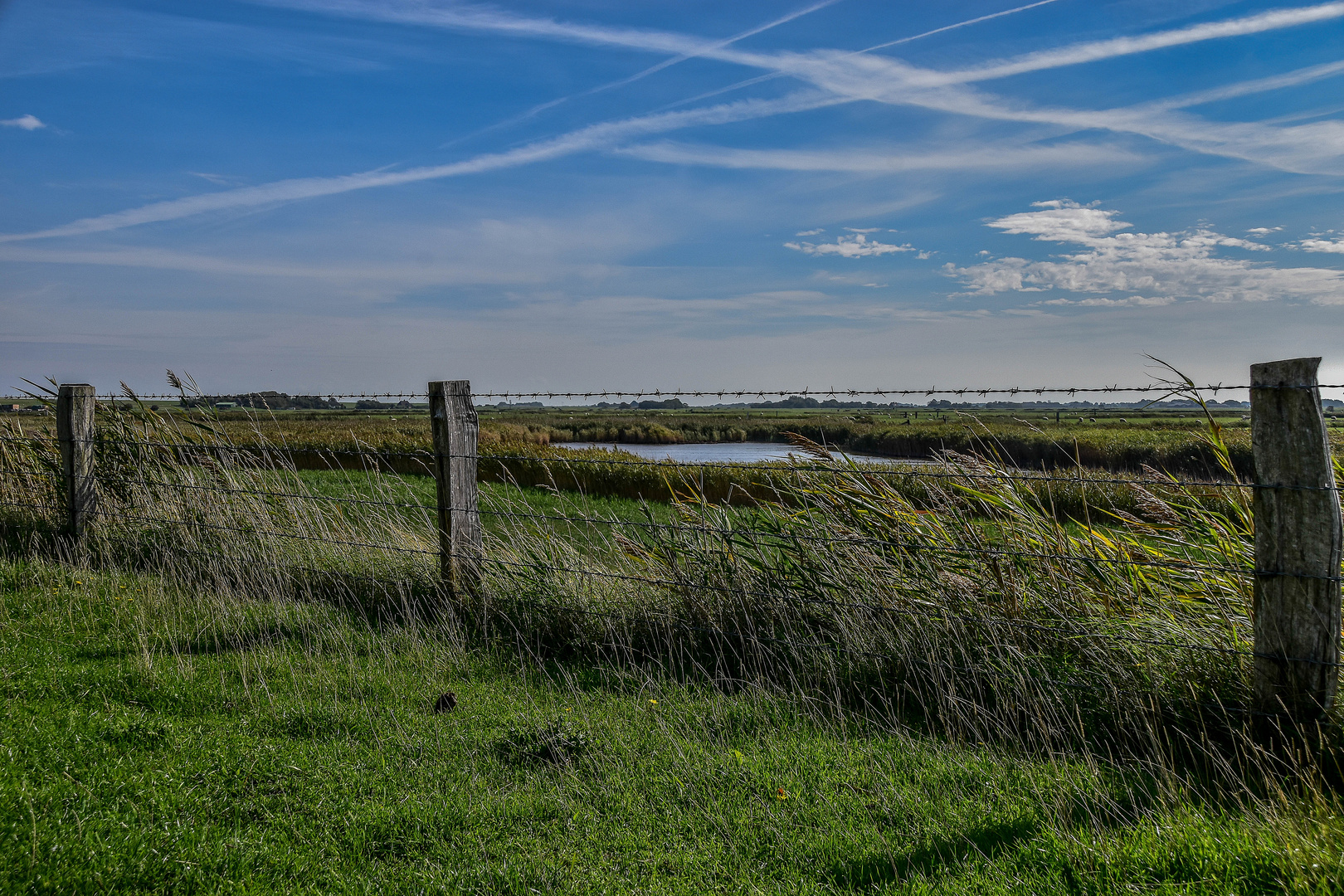 Marschlandschaft bei Westerhever