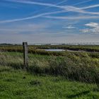 Marschlandschaft bei Westerhever