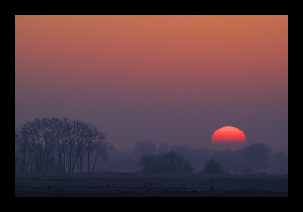 Marschlandschaft bei Wilhelmshaven