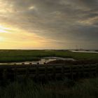 Marschlandschaft beim Westerhever