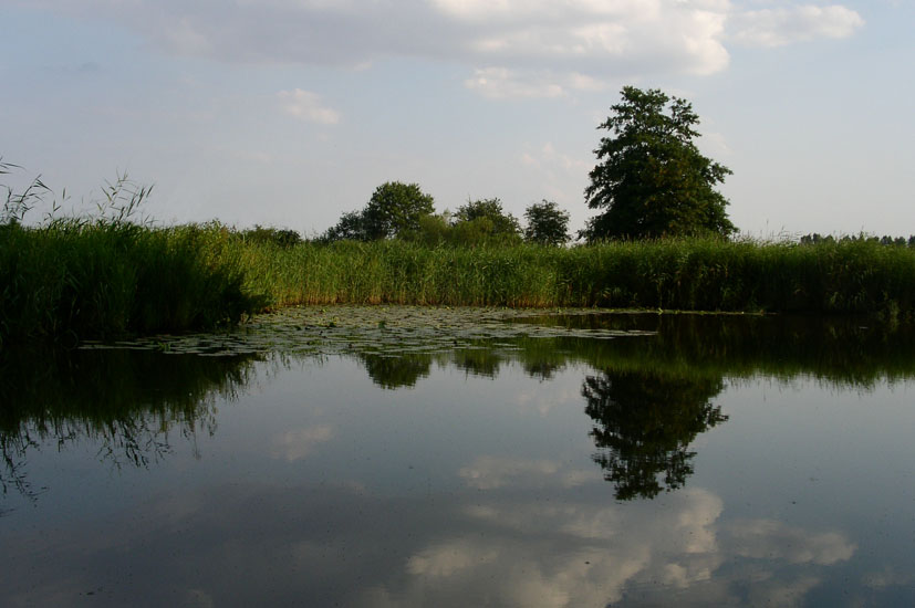 Marschlandschaft