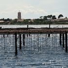 Marseillan