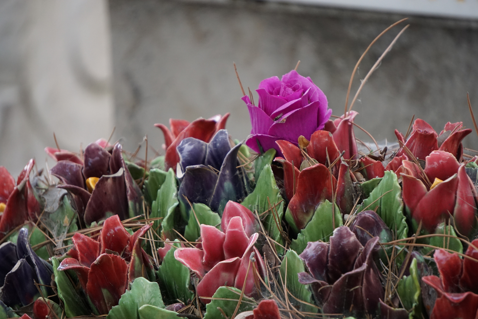 Marseille 2018, Friedhof Saint Pierre