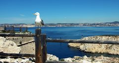 Marseille / Île du Frioul