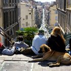 Marseille - Relaxen am Cours Julien