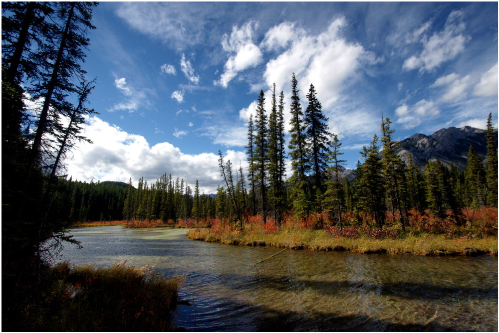 Marsh Loop