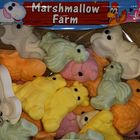 Marshmallow Farm