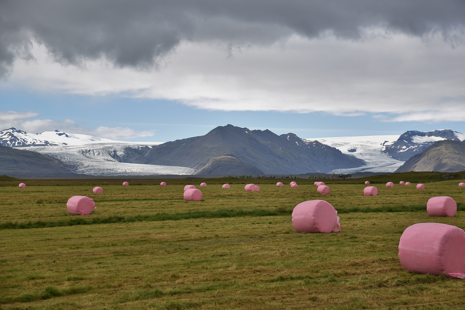 Marshmellos in Iceland