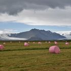 Marshmellos in Iceland