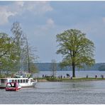 Marstallhalbinsel im Frühling