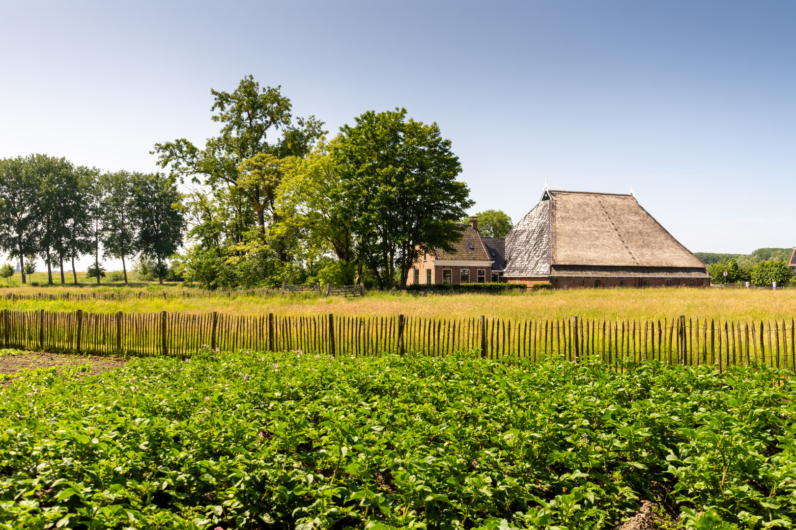 Marsum - Haven - 01