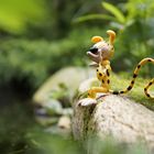 Marsupilami3