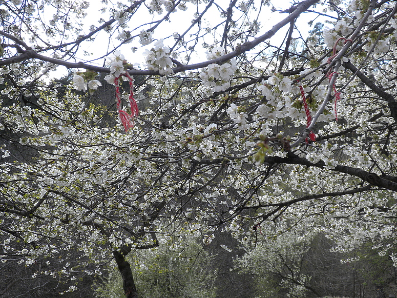 Marteniza oder Frühling in Bulgarien