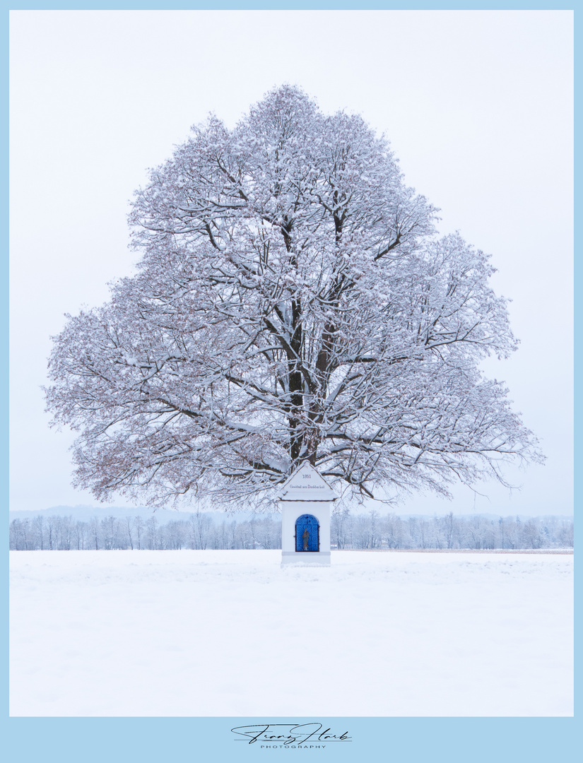 Marterl im Schneekostüm