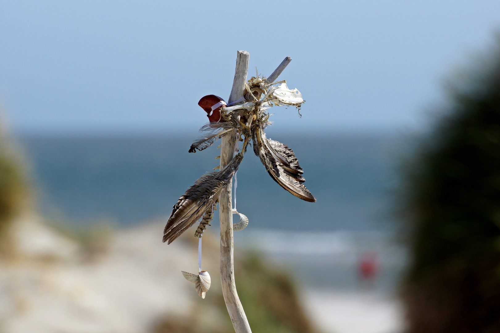 Marterpfahl für Vögel ?