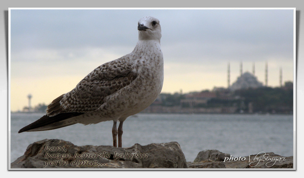 Marti and Istanbul