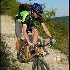 User Profile Photo