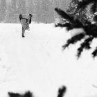 Martin Good, Backcountry Handplant