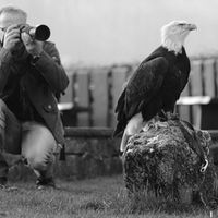 Martin Grebe Naturfotografie