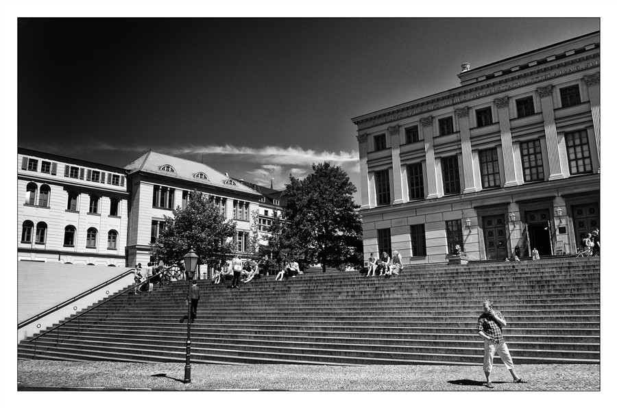 Martin-Luther-Universität Halle-Wittenberg